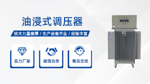 What does an oil-immersed regulator do?